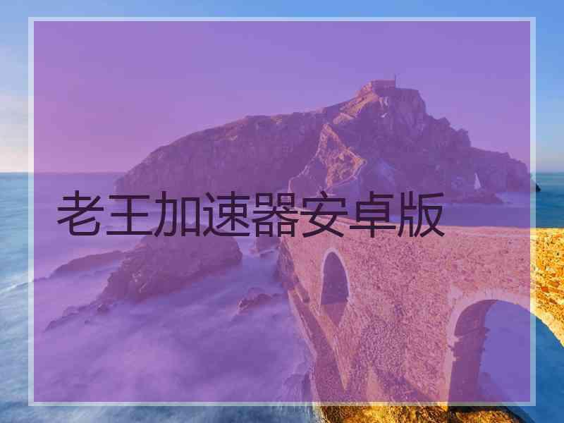 老王加速器安卓版