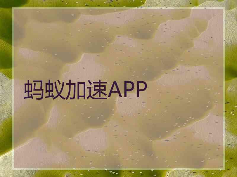 蚂蚁加速APP