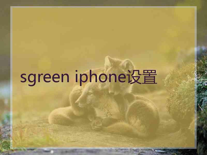 sgreen iphone设置