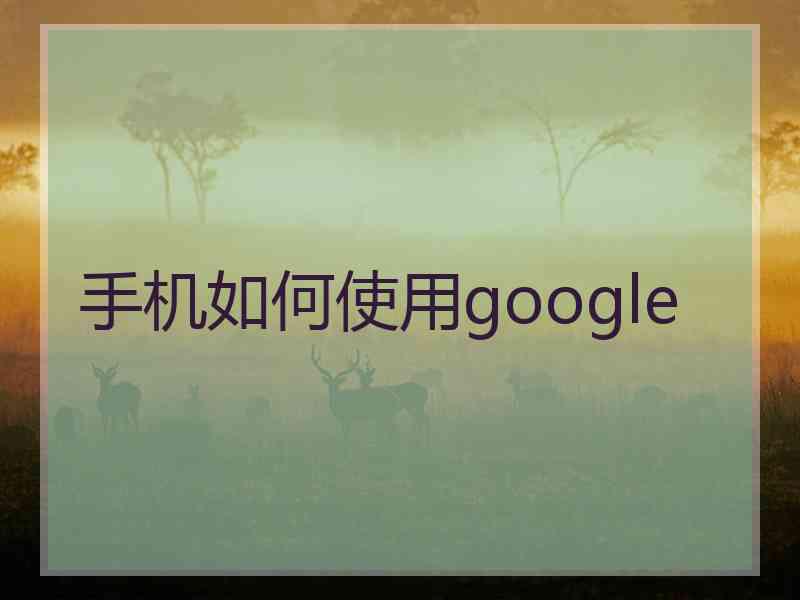 手机如何使用google