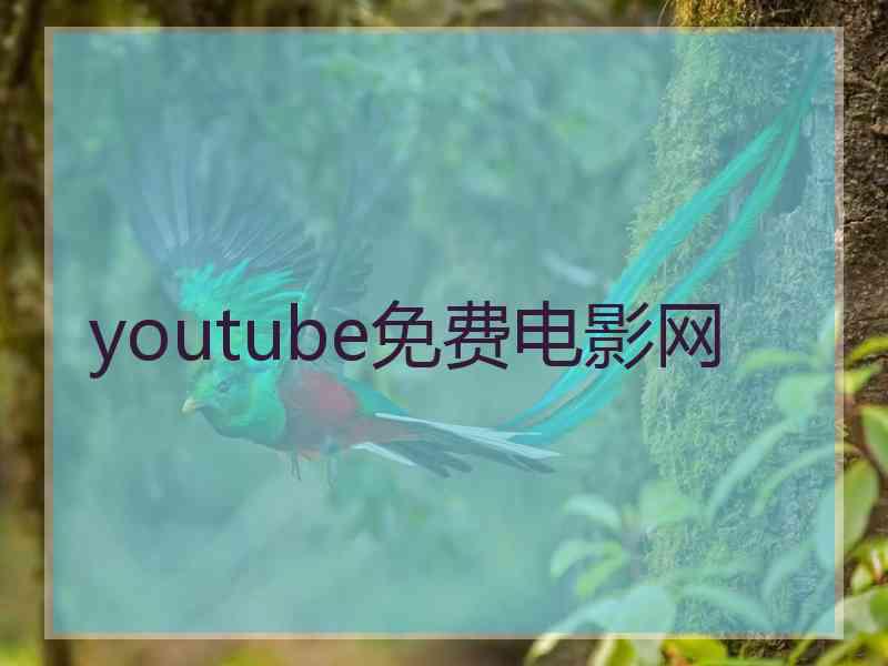 youtube免费电影网