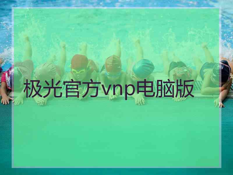 极光官方vnp电脑版