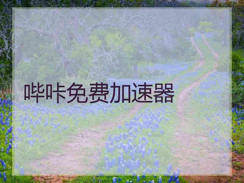 哔咔免费加速器