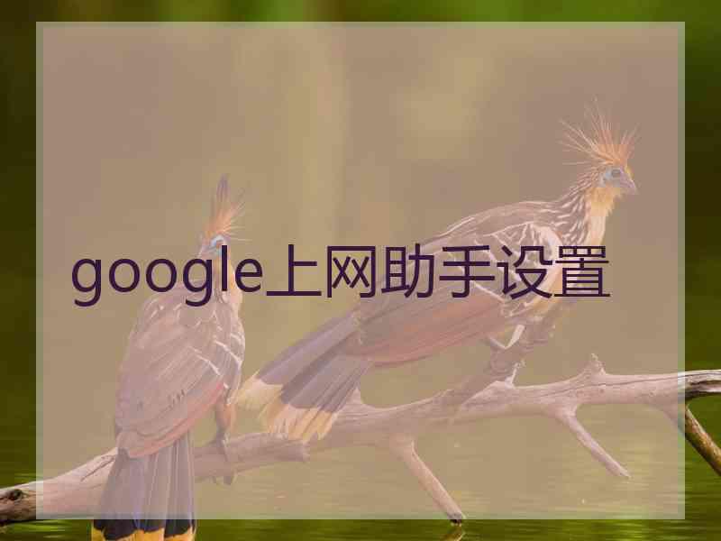 google上网助手设置