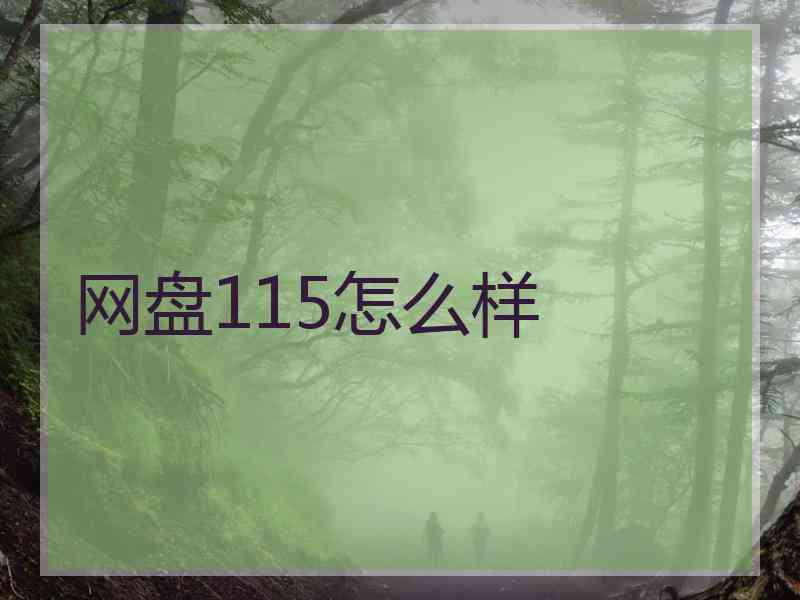 网盘115怎么样