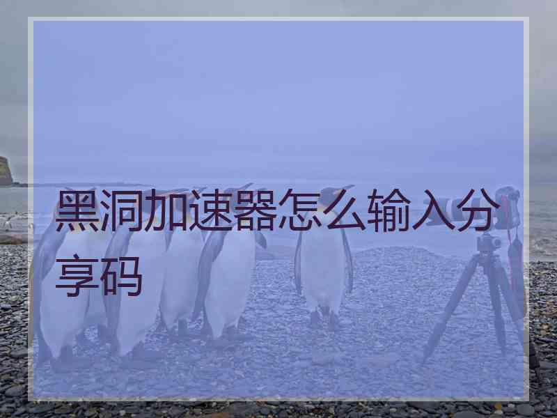 黑洞加速器怎么输入分享码