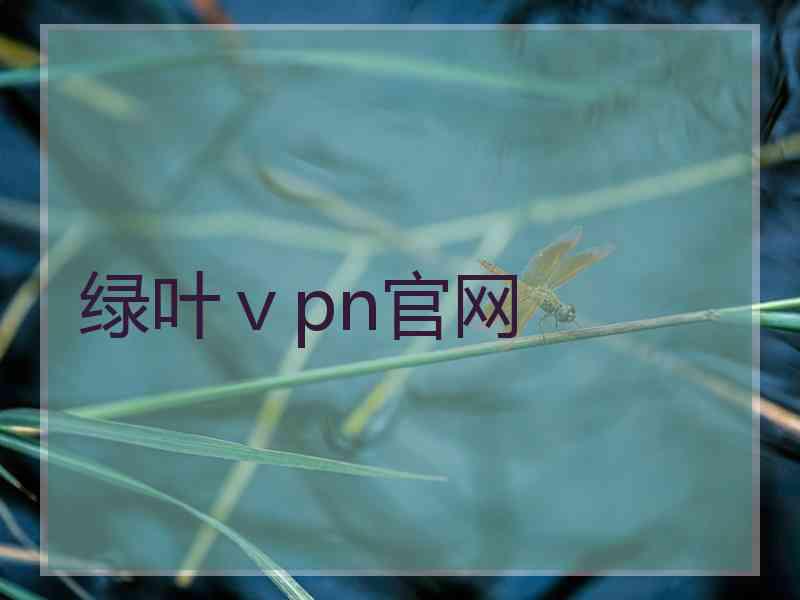 绿叶ⅴpn官网