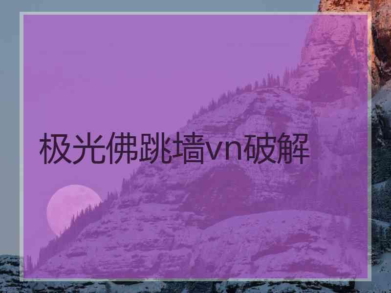 极光佛跳墙vn破解