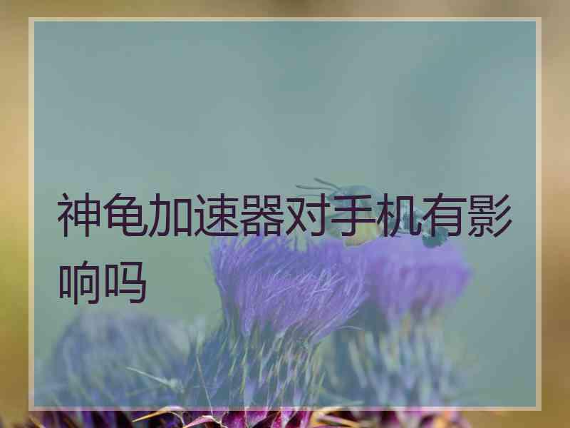 神龟加速器对手机有影响吗