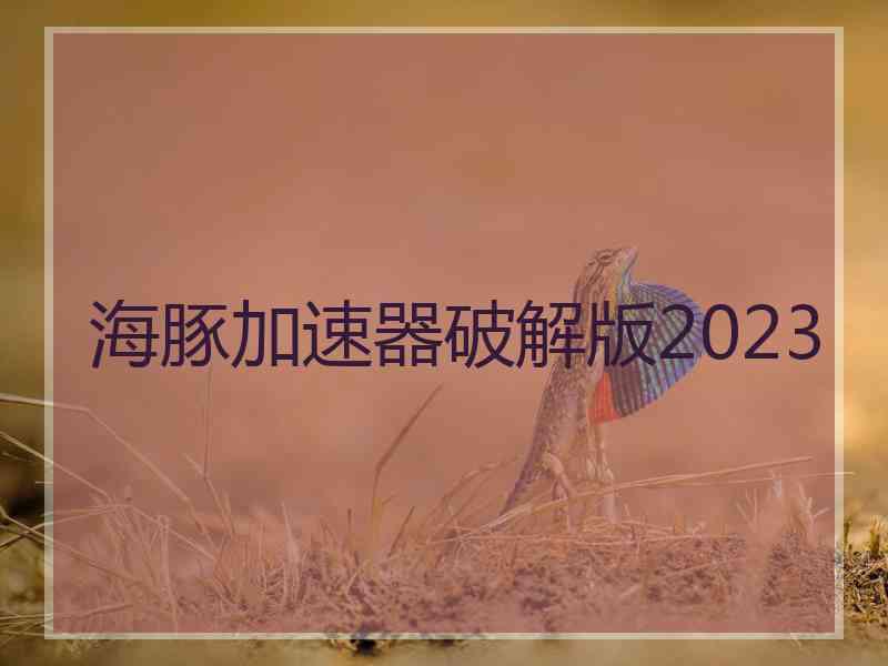 海豚加速器破解版2023