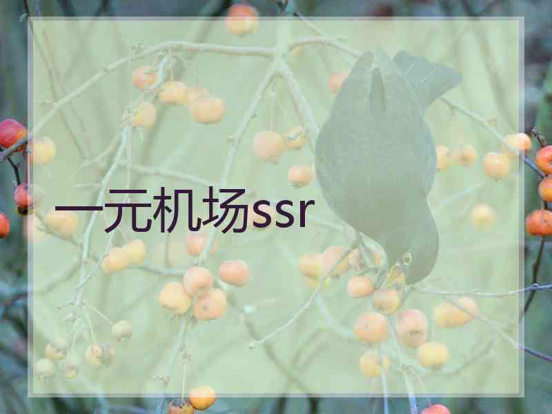 一元机场ssr