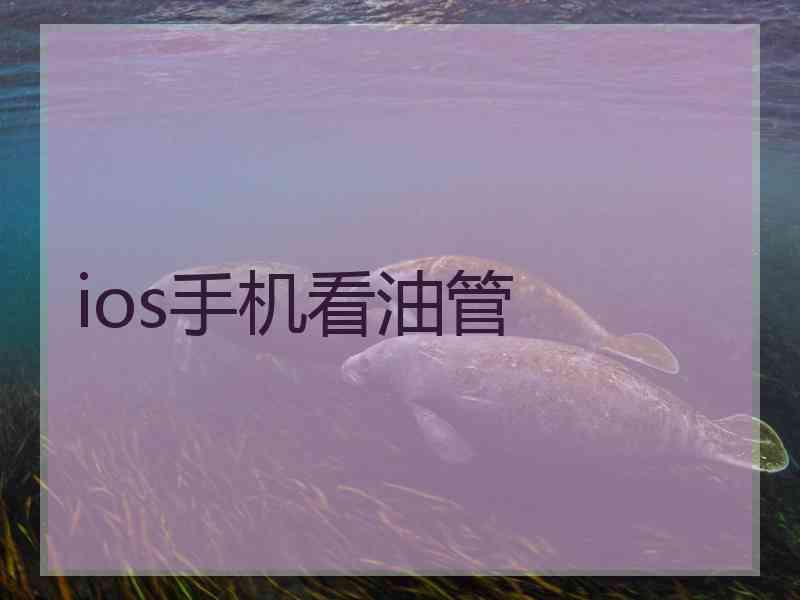 ios手机看油管