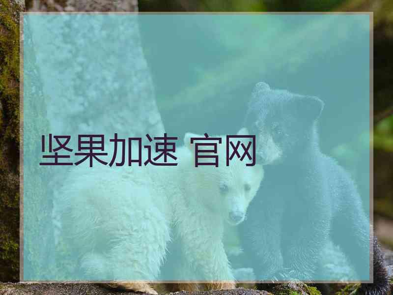 坚果加速 官网