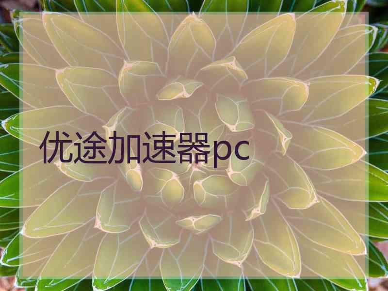 优途加速器pc