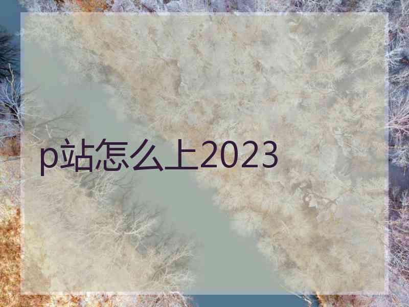 p站怎么上2023