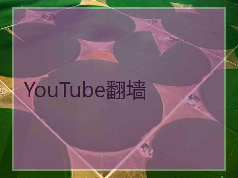 YouTube翻墙