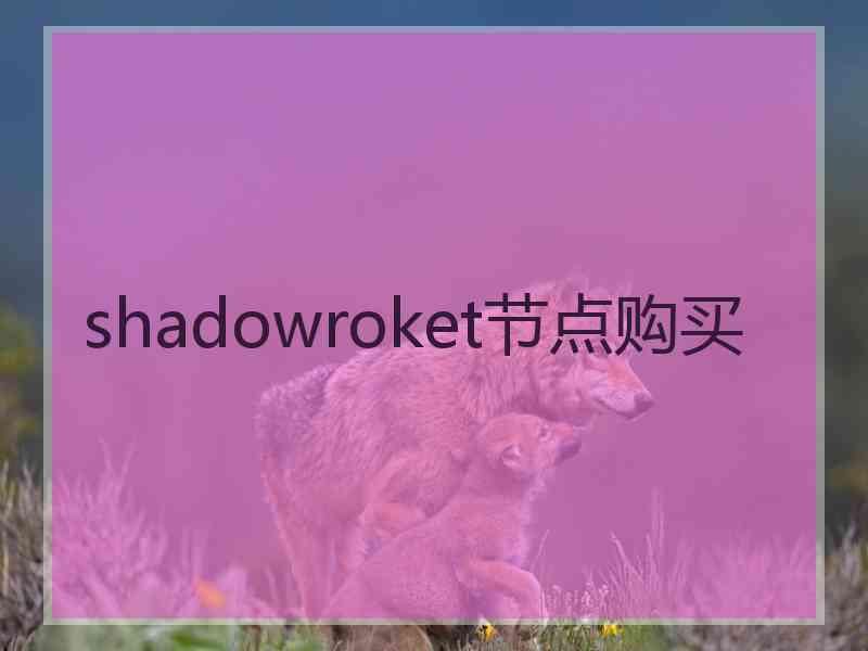 shadowroket节点购买