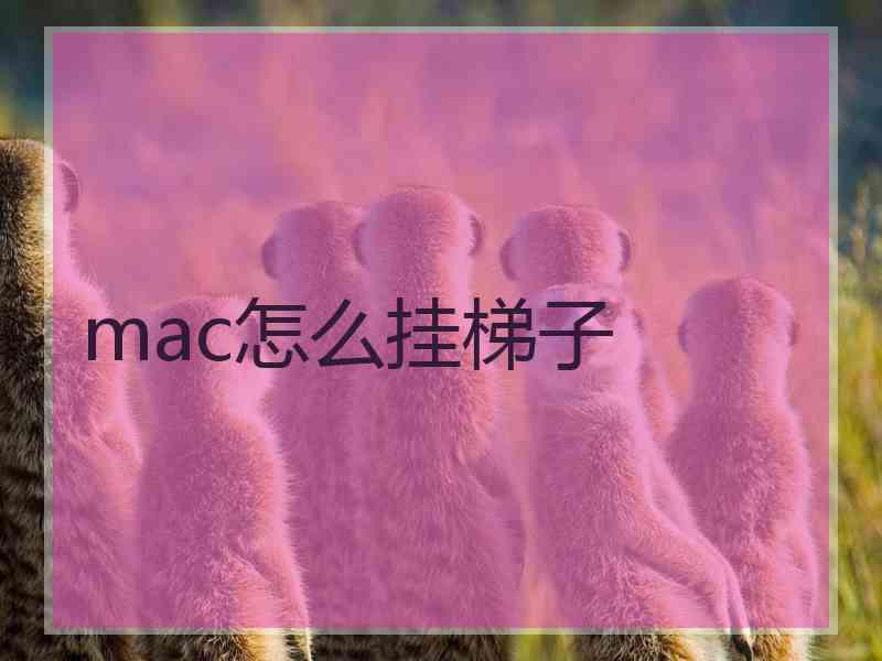 mac怎么挂梯子