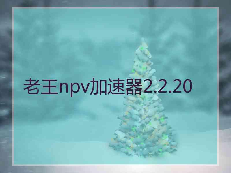 老王npv加速器2.2.20