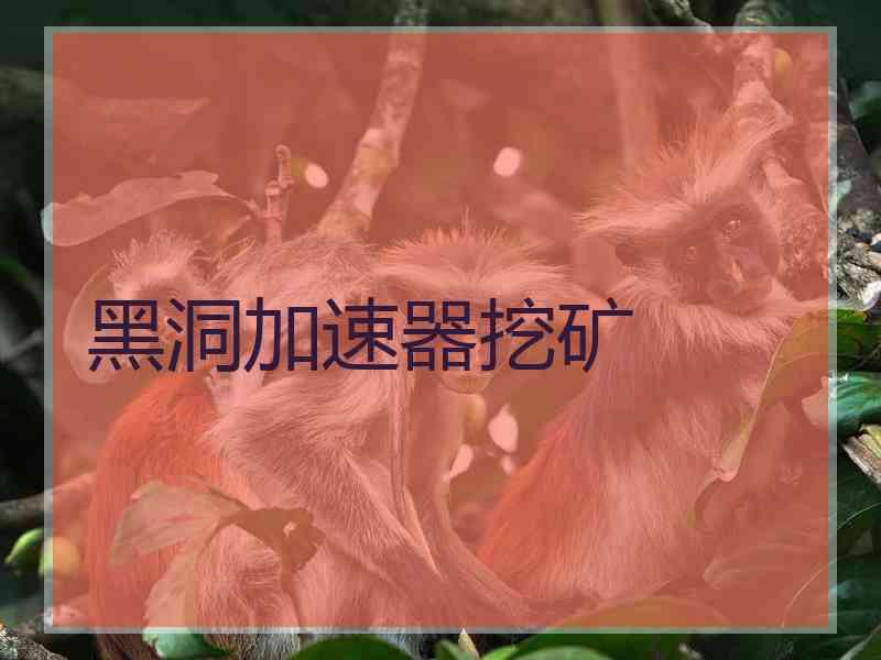 黑洞加速器挖矿