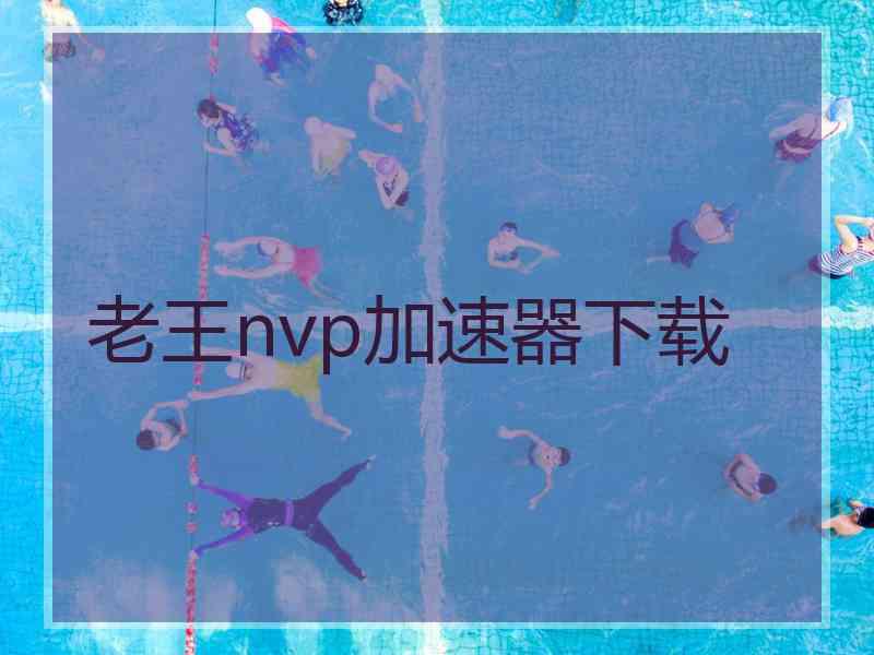 老王nvp加速器下载