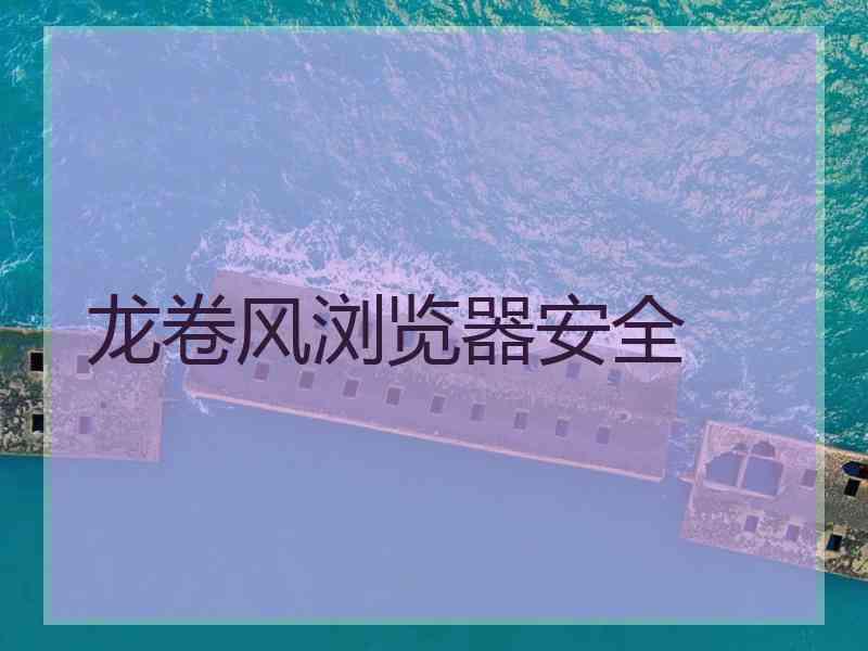 龙卷风浏览器安全