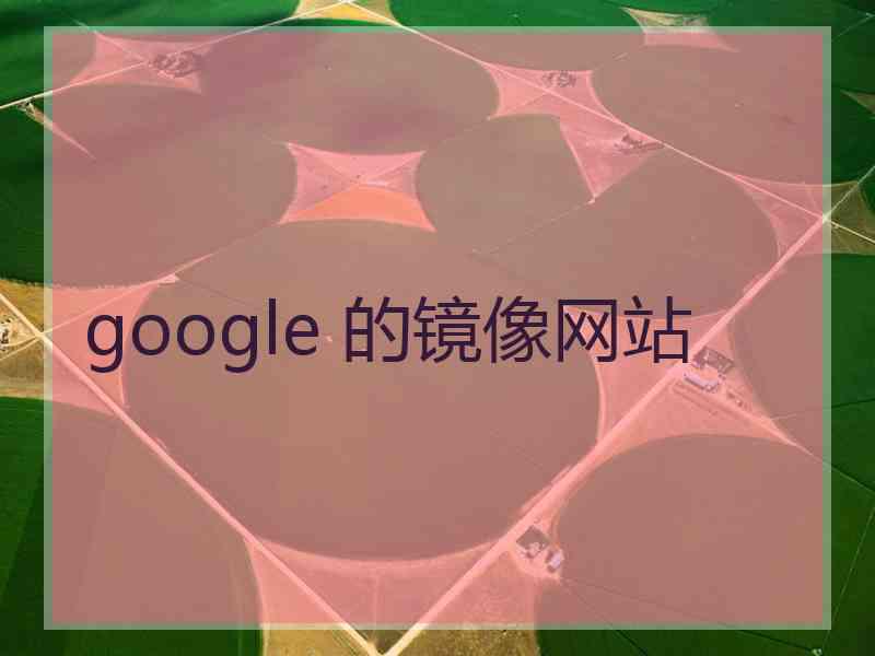 google 的镜像网站