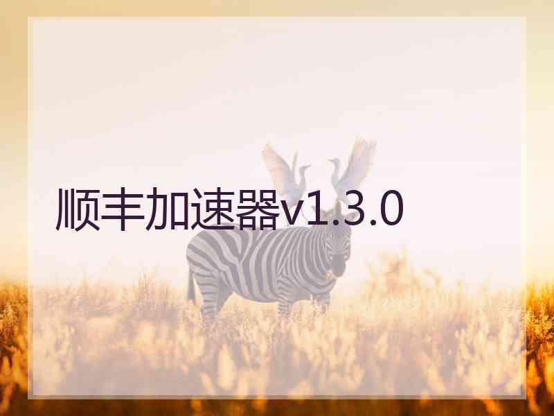 顺丰加速器v1.3.0