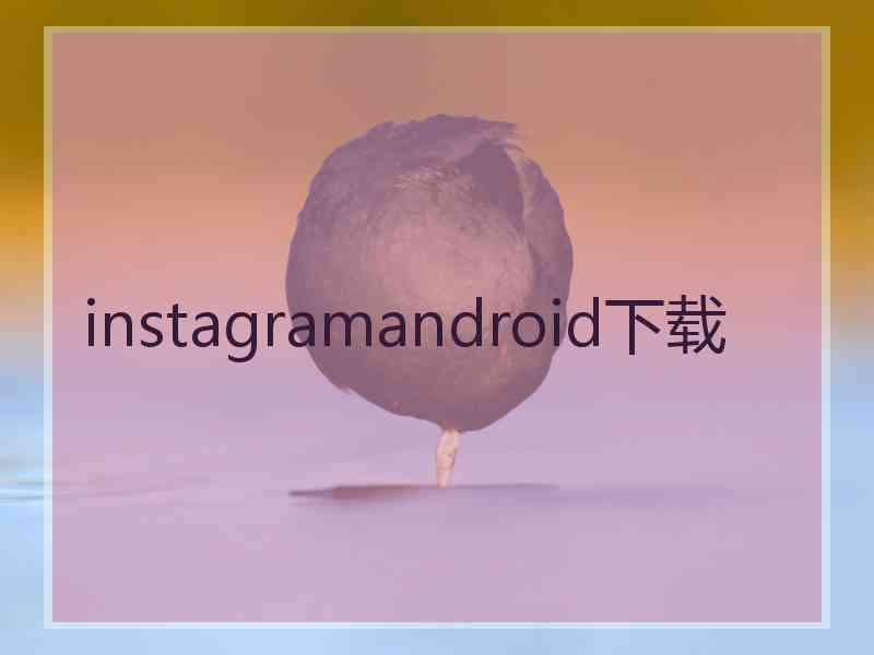 instagramandroid下载