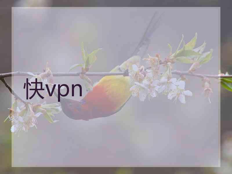 快vpn