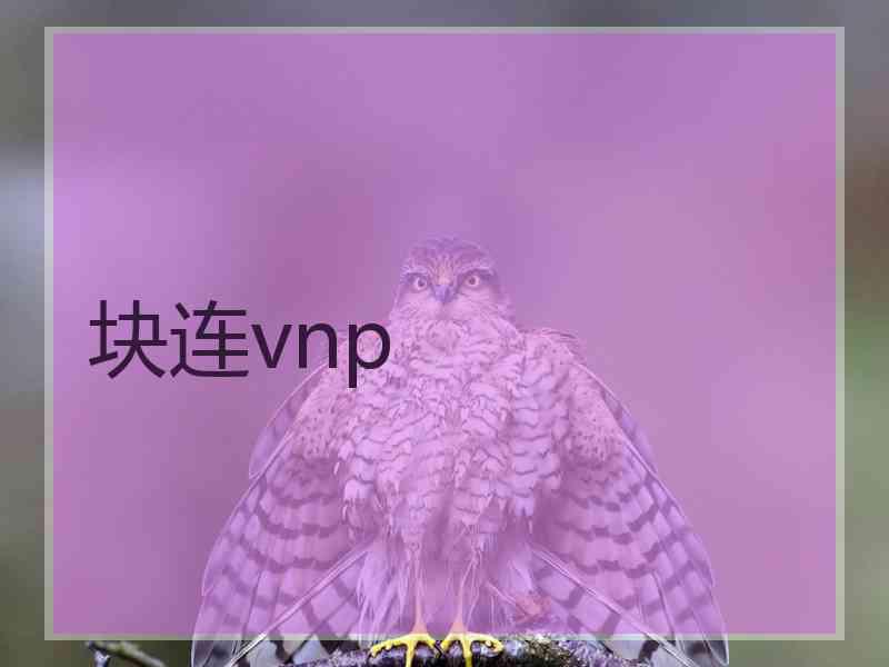 块连vnp