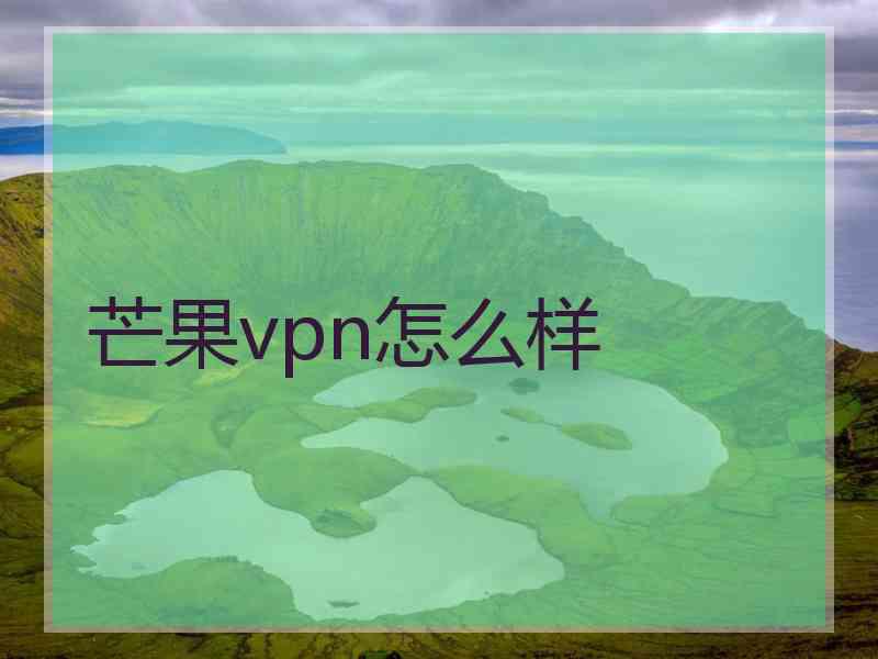 芒果vpn怎么样