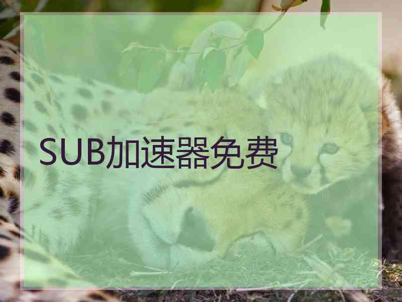 SUB加速器免费