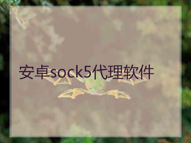 安卓sock5代理软件