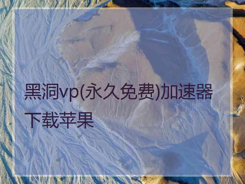 黑洞vp(永久免费)加速器下载苹果