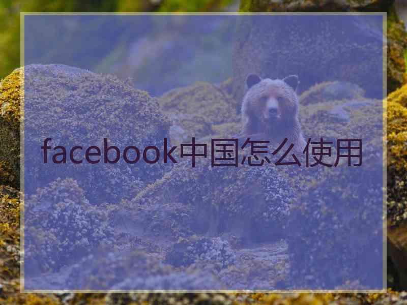 facebook中国怎么使用