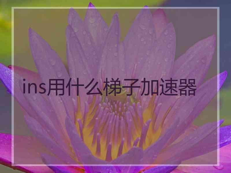 ins用什么梯子加速器