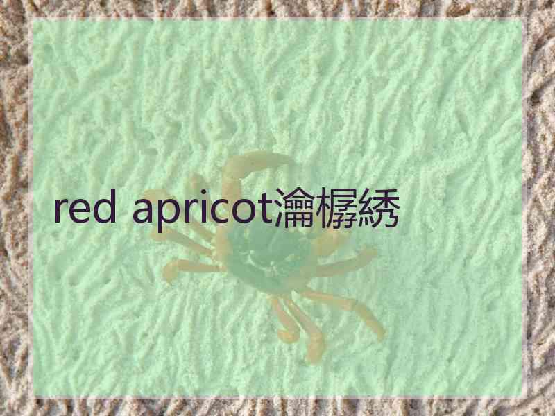 red apricot瀹樼綉