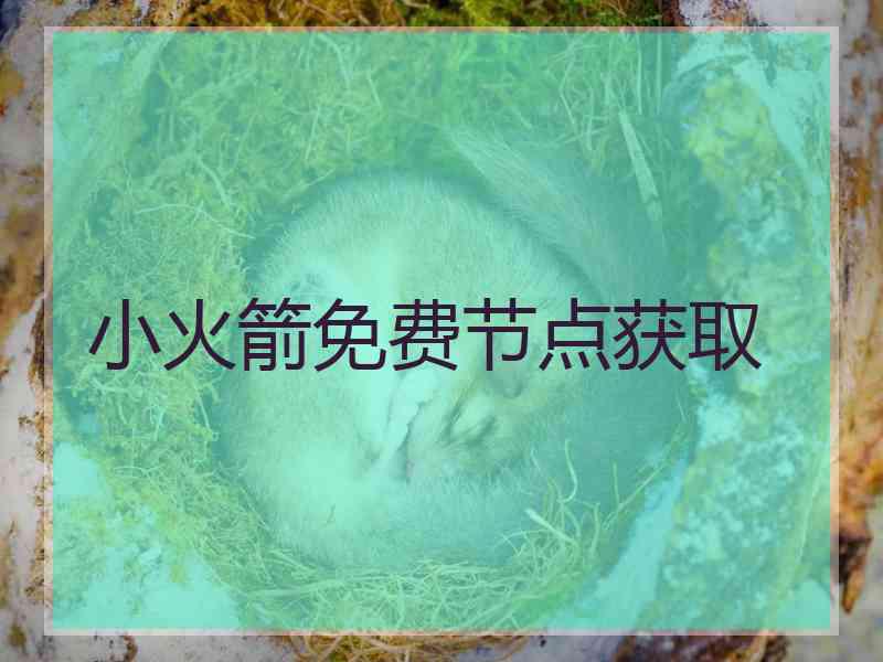 小火箭免费节点获取