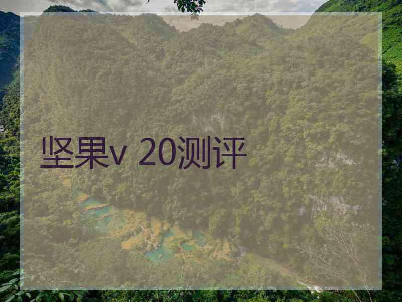 坚果v 20测评