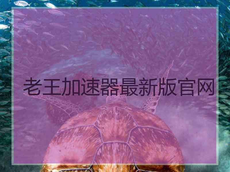 老王加速器最新版官网