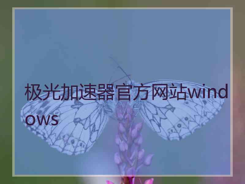 极光加速器官方网站windows