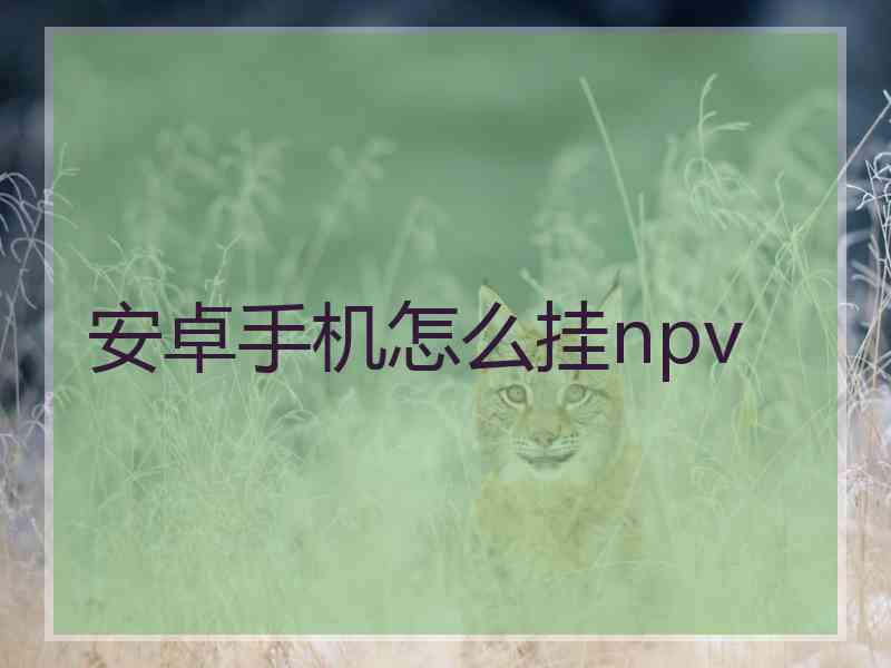 安卓手机怎么挂npv