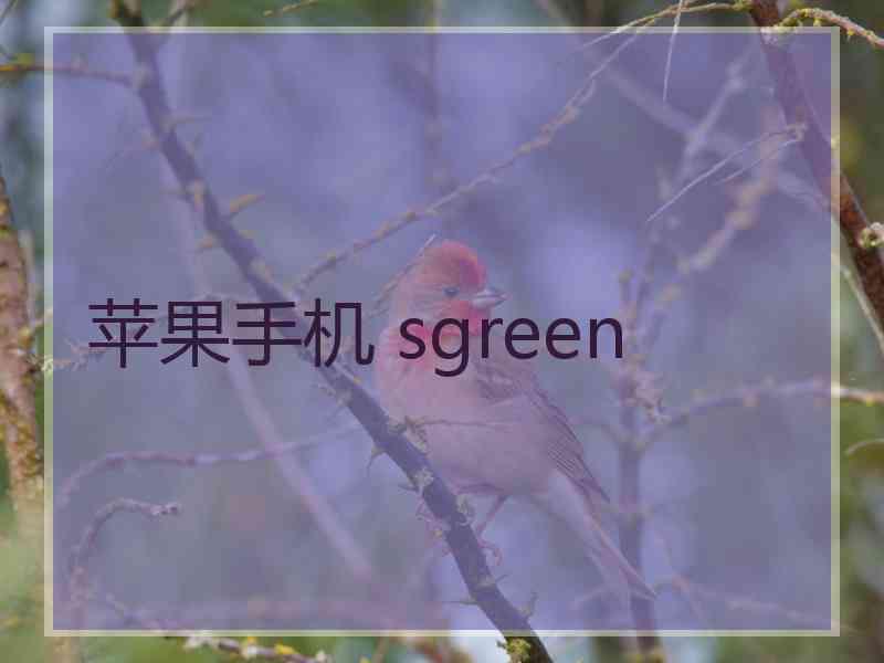 苹果手机 sgreen