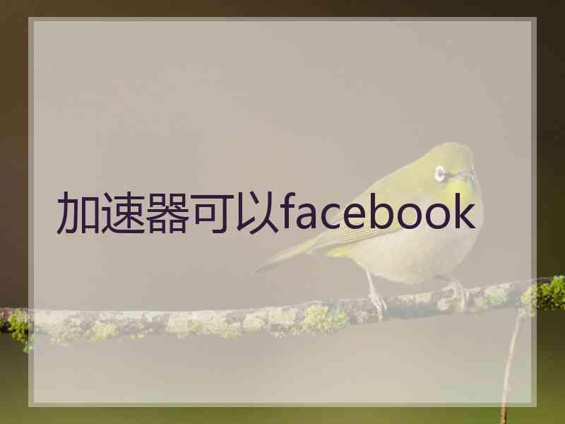 加速器可以facebook