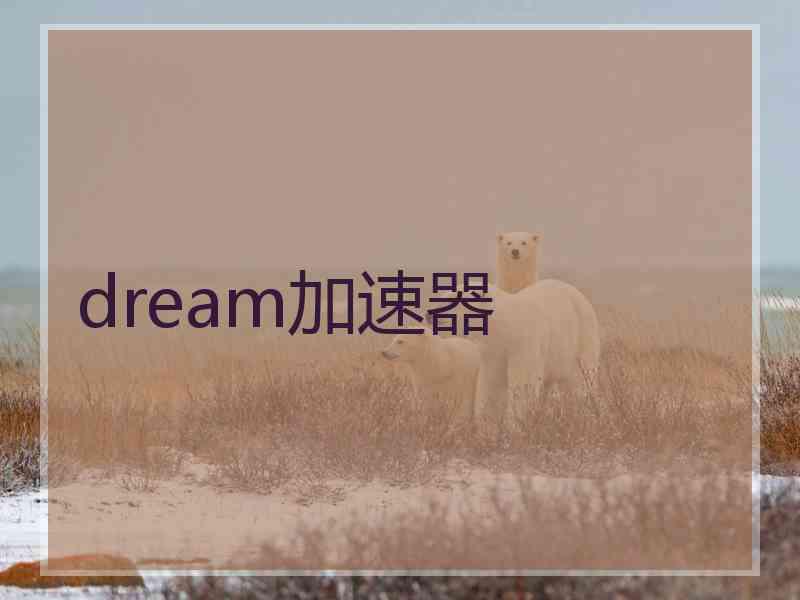 dream加速器