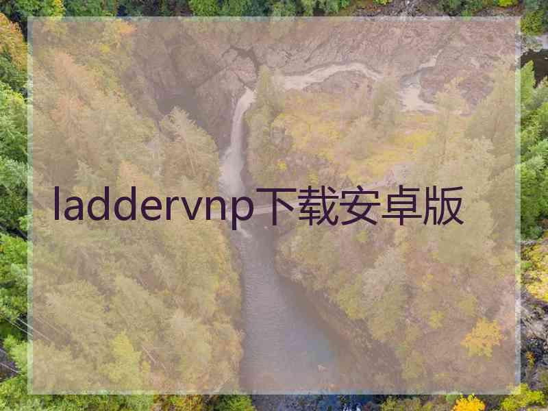 laddervnp下载安卓版