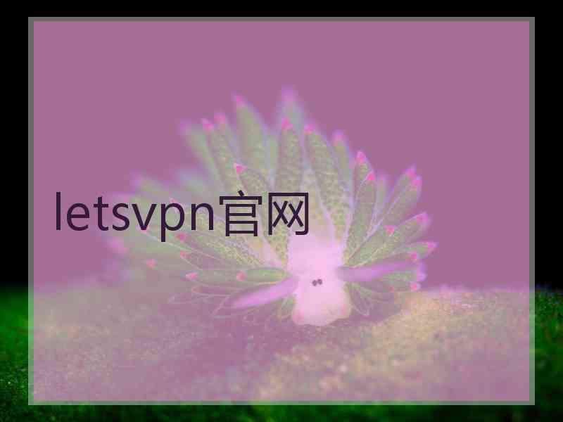 letsvpn官网