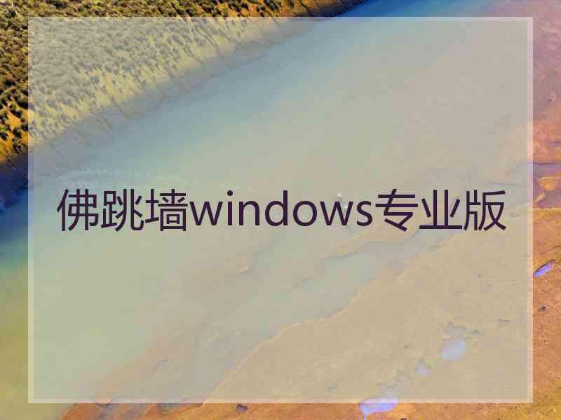 佛跳墙windows专业版