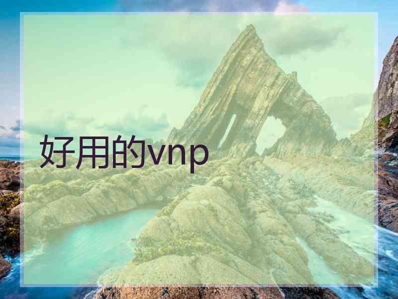 好用的vnp